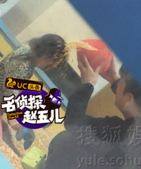 "实力坑娃!贾乃亮拿黄豆狂浇甜馨"