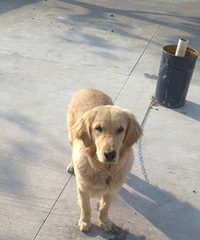 ��Ҫ����ë���𣬾Ÿ��´�����ʮ��