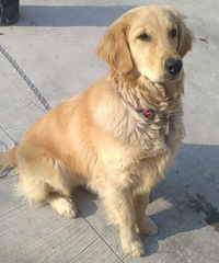 ��Ҫ����ë���𣬾Ÿ��´�����ʮ��