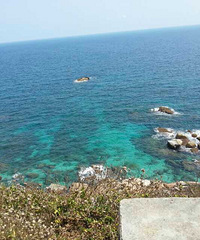去了7次这片海 没有人比我更懂它了