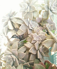 һ����������ʱ��