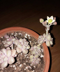 �Ҽҵ������һ�ο�����