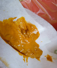 ������ǲ���