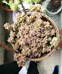 ��������������