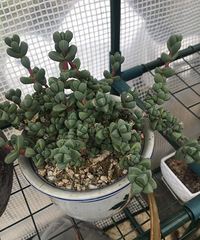 �����ҵ���������Գ����˺ö�