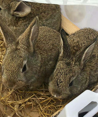 �㽭̨���ٺ����Ͻֵ���·ͷ��