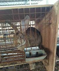 �㽭̨���ٺ����Ͻֵ���·ͷ��