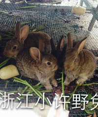 �㽭̨���ٺ����Ͻֵ���·ͷ��