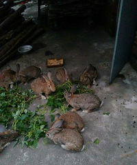 �㽭̨���ٺ����Ͻֵ���·ͷ��