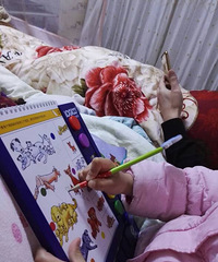 �Լ����Լ��������