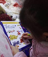 �Լ����Լ��������