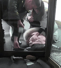 6��Ů���������ת�� �ű������ˡ���