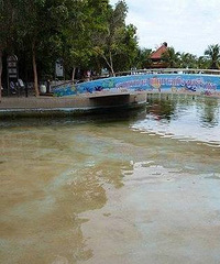 �����½�ǧöӲ�ң��ű��˹��...�����㻹�����Ҷ���Ը����