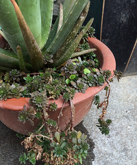 ���Ƕ����𣿿���ȥ�ܺÿ�����