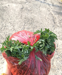 清明粿