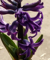 ��һ���ֵķ����ӿ�����