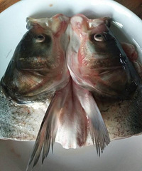 �����˵���������Ůϲ����