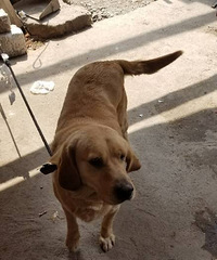 ��������������