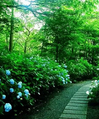 ��������һ�仰���ǡ��ú���ϧ����õ�