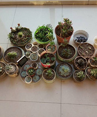 ���������������