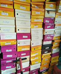 ţƤЬ�����