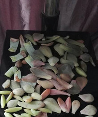 ���Ŵ���Ѳ��õ�ߣ�˷�С��