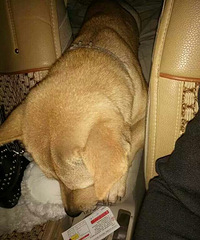 Ը����û�в�ʹ