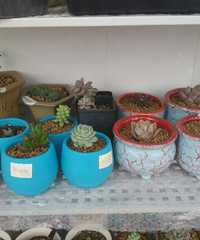 ����Ӱ����ˣ������Ĳ���