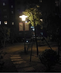 ���ټ�԰���ϱ�ͨ͸������һ�����⣬��80