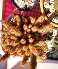 ���ⲻ�ܳ�