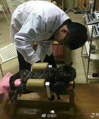 ����Ȧ������ɹ��è��� ���Ҹ��𾪵��ˣ�