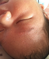 �����ʪ��