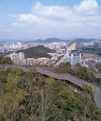 һ���˵�����