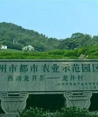 在杭州,想喝到第一手的好茶,就得去这几个地方