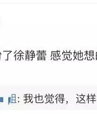 边撒狗粮边说“无所谓结婚”,徐静蕾活的真洒脱