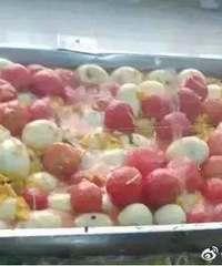 ���ѳ�����Plus�棡��ѧʳ���Ƴ������վ��¼ܡ�