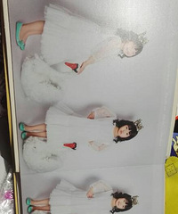 ̨������ᵽ��