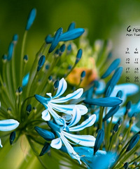 2017年4月月历壁纸