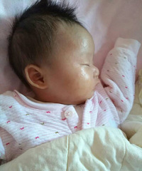 ����������ô����