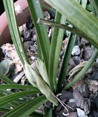 ��ů����