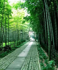 "外景婚纱摄影哪里好?杭州值得推荐的8个外景地~"
