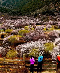4月最佳旅行地榜单,在这些秘境玩转整个春天~