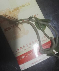 又收到了藤三七