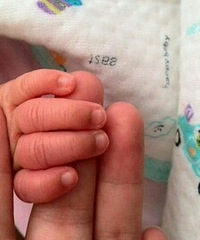 ��ָ�׸�������