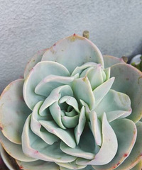 �׷�����Ҫ�������𣿻᲻������