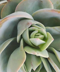 �׷�����Ҫ�������𣿻᲻������