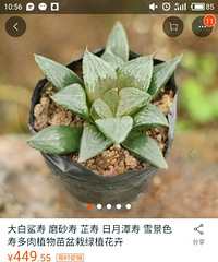 ��������һ��Ʒ����