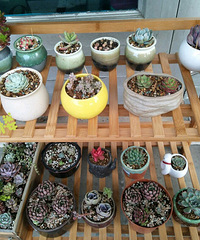 ����̨�����룬ɹɹ���������С�ջ�