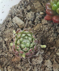 ��֮��ҲҪ����