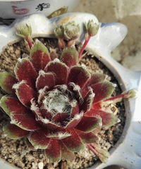 ��֮��ҲҪ����